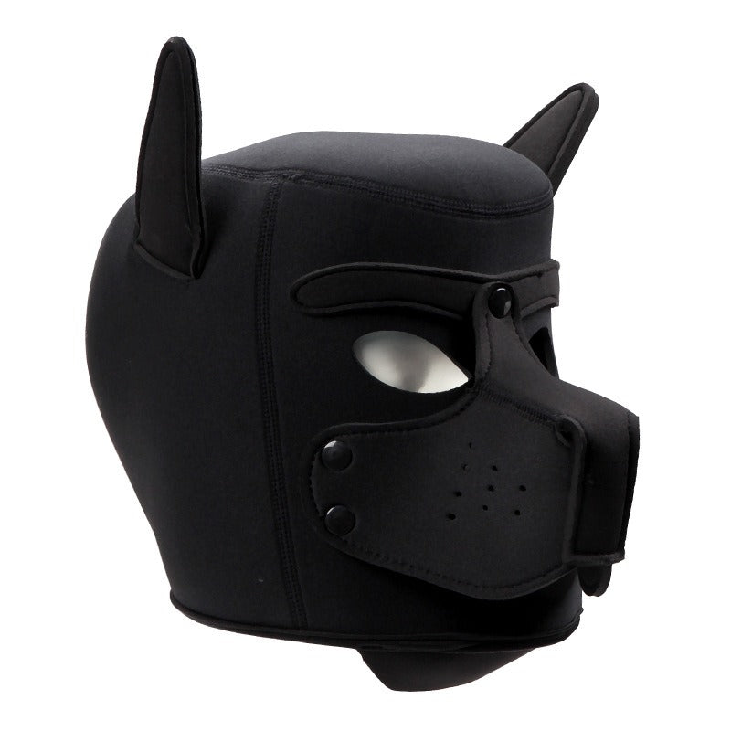 Nightclub Role Play Mask